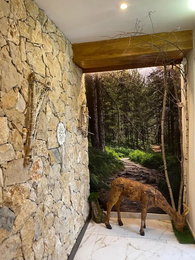 Hotel Victor Rialp